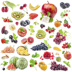 Jigsaw puzzle: Fruit and berry tale
