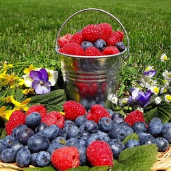 Jigsaw puzzle: Berry