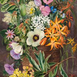 Jigsaw puzzle:  Marianne North Gallery