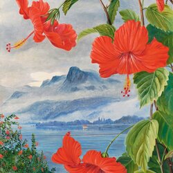 Jigsaw puzzle: Marianne North Gallery