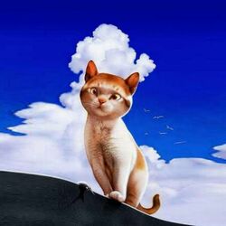 Jigsaw puzzle: Cat and cloud