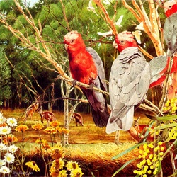 Jigsaw puzzle: Pink cockatoo