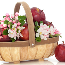 Jigsaw puzzle: Basket with apples