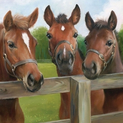 Jigsaw puzzle: Horses by the fence