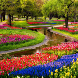 Jigsaw puzzle: Park in the Netherlands