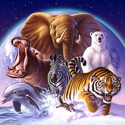 Jigsaw puzzles on topic «Animal world»