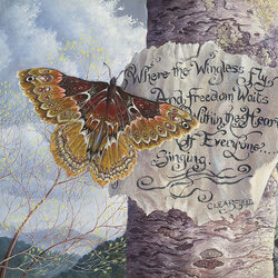 Jigsaw puzzle: Wisdom for the butterfly