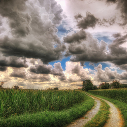 Jigsaw puzzle: Road in the fields