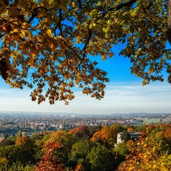 Jigsaw puzzle: View of autumn Dresden