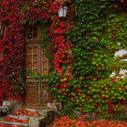 Jigsaw puzzle: The house where autumn lives