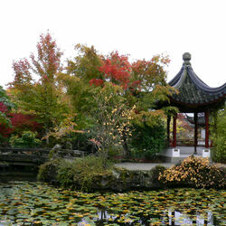 Jigsaw puzzle: Chinese garden