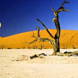 Jigsaw puzzle: Moon over the desert