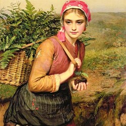 Jigsaw puzzle: Fern gatherer