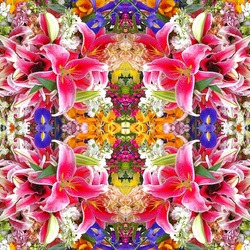 Jigsaw puzzle: Lily kaleidoscope