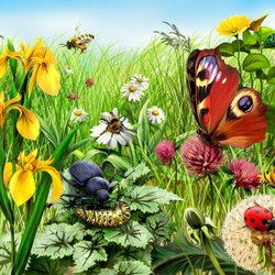 Jigsaw puzzle: Flowers and insects