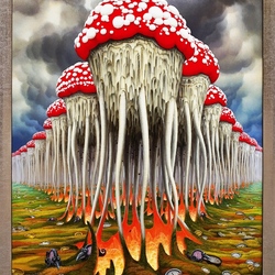 Jigsaw puzzle: Fly agaric time