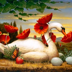 Jigsaw puzzle: Swan and poppies