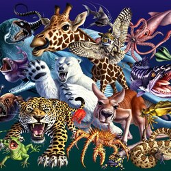 Jigsaw puzzle: Animal world