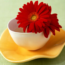 Jigsaw puzzle: Cup and flower