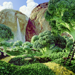 Jigsaw puzzle: Edible Landscapes by Karl Warner