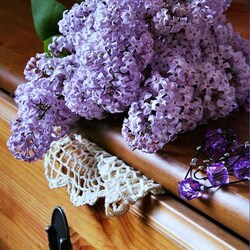 Jigsaw puzzle: Lilac nocturne