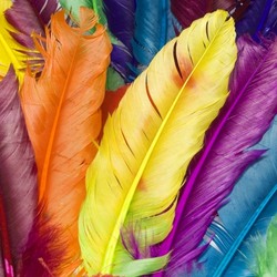 Jigsaw puzzle: Colorful feathers