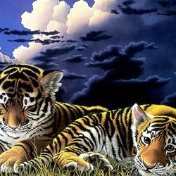 Jigsaw puzzle: Tiger cubs