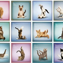 Jigsaw puzzle: Yoga for kittens by Dan Borris