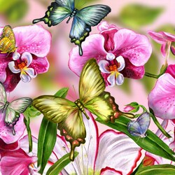 Jigsaw puzzle: Orchids and butterflies