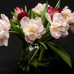 Jigsaw puzzle: Peony scent