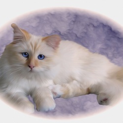 Jigsaw puzzle: Miniature with a white cat