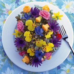 Jigsaw puzzle: Spring salad