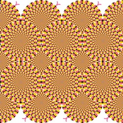 Jigsaw puzzle: Akioshi Kitaoka optical illusion