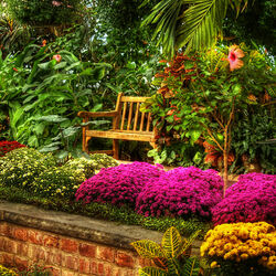 Jigsaw puzzle: Bench among flowers