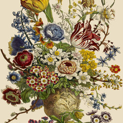 Jigsaw puzzle: March. Botanical illustrations