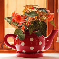 Jigsaw puzzle: Still life with polka dots