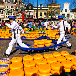 Jigsaw puzzle: Cheese fair in Alkmaar