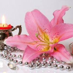 Jigsaw puzzle: Pink lily flower