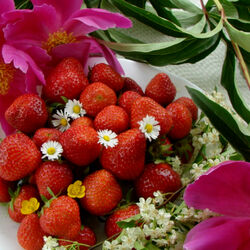 Jigsaw puzzle: Strawberries and flowers