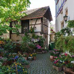 Jigsaw puzzle: Courtyard in Bad Wimpfen. Germany
