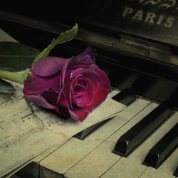 Jigsaw puzzle: Music of love