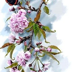 Jigsaw puzzle: Butterfly on sakura blossom