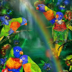 Jigsaw puzzle: Rainbow parrots