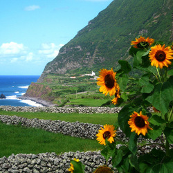Jigsaw puzzle: Azores
