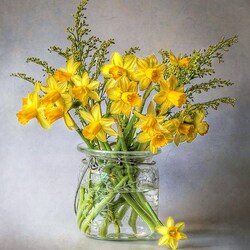 Jigsaw puzzle: Daffodils