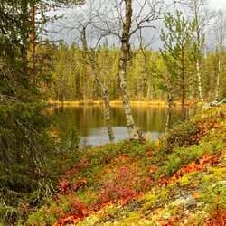 Jigsaw puzzle: Lake in Lapland