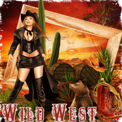 Jigsaw puzzle: Wild West