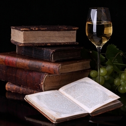 Jigsaw puzzle: Wine and books
