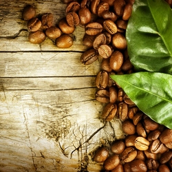 Jigsaw puzzle: Coffee beans