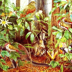 Jigsaw puzzle: Swamp wallaby